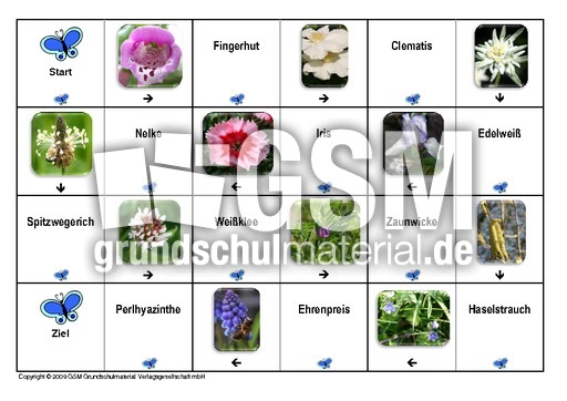 Domino-Frühlingsblüten-6.pdf